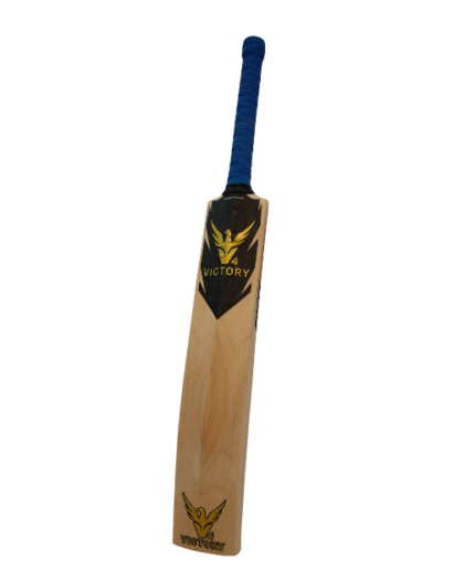 V4 Victory Blaze Kashmir Willow Bat